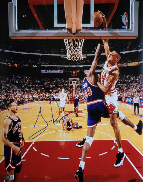Scottie Pippen Autographed Chicago Bulls Slam Dunk 16X20 Photo