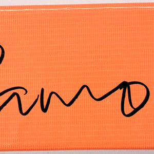 Jameson Williams Autographed Detroit Lions End Zone Touchdown Pylon Beckett Witnessed