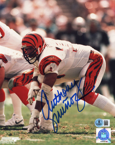 Anthony Munoz Autographed Cincinnati Bengals 8X10 Photo Beckett