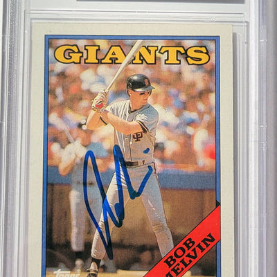 MLB/San Francisco Giants
